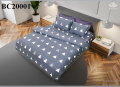 Chăn ga gối Sông Hồng Basic cotton BC20001#8