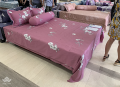 Ga gối Sông Hồng Basic cotton BC20012#3