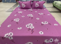 Ga gối Sông Hồng Basic cotton BC20014#6