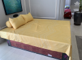 Ga gối Sông Hồng Basic cotton BC20028#6