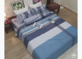 Bộ chăn ga gối Olympia Living OL04#2