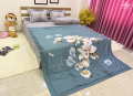 Bộ chăn ga gối Olympia Living OL06#1