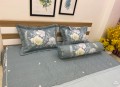 Bộ chăn ga gối Olympia Living OL11#3