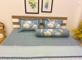 Bộ chăn ga gối Olympia Living OL11#2
