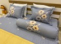 Bộ chăn ga gối Olympia Living OL21#3