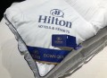 Ruột chăn lông vũ Hilton màu trắng#4