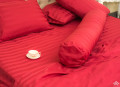 Chăn ga gối Olympia cotton lụa 7 món OCL7M01#2