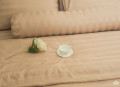Chăn ga gối Olympia cotton lụa 7 món OCL7M03#6