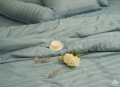 Chăn ga gối Olympia cotton lụa 7 món OCL7M07#11