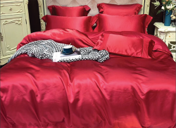 Bộ chăn ga gối lụa Singapore luxury 6 món  LSL2001#7