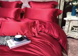 Bộ chăn ga gối lụa Singapore luxury 6 món  LSL2001#5