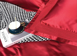 Bộ chăn ga gối lụa Singapore luxury 6 món  LSL2001#4