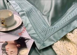 Bộ chăn ga gối lụa Singapore luxury 6 món  LSL2002#1