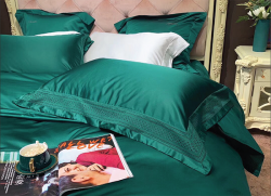 Bộ chăn ga gối lụa Singapore luxury 6 món  LSL2003#6