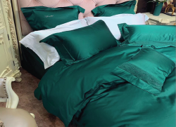 Bộ chăn ga gối lụa Singapore luxury 6 món  LSL2003#5