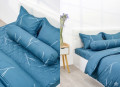 Chăn ga gối Sông Hồng Basic cotton BC22060#3