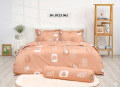 Chăn ga gối Sông Hồng Basic cotton BC22062