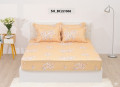 Chăn ga gối Sông Hồng Basic cotton BC22066#4