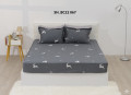Chăn ga gối Sông Hồng Basic cotton BC22067#5