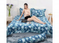 Chăn đông Sông Hồng Basic cotton BC22058#5