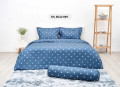 Chăn đông Sông Hồng Basic cotton BC22059