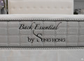 Đệm cao cấp Sông Hồng Back Essential nguyên tấm#2
