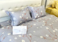 Vỏ chăn xuân thu Sông Hồng basic cotton BC23075#1