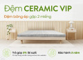 Đệm bông ép Everon Ceramic Vip gập 2#7
