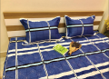 Bộ ga chun Olympia chần vải Cotton Hàn 04#2