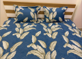 Bộ ga chun Olympia chần vải Cotton Hàn 06#2