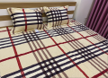 Bộ ga chun Olympia chần vải Cotton Hàn 12#2