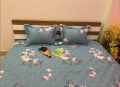 Bộ ga chun Olympia chần vải Cotton Hàn 20#4