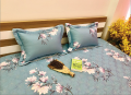 Bộ ga chun Olympia chần vải Cotton Hàn 20#2