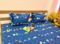 Bộ ga chun Olympia chần vải Cotton Hàn 23#4