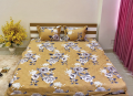 Bộ ga chun Olympia chần vải Cotton Hàn 31