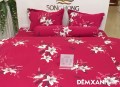 Bộ ga gối Sông Hồng Cotton C1964#2