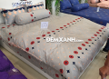 Bộ ga gối Sông Hồng Cotton C19C68