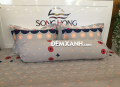 Bộ ga gối Sông Hồng Cotton C19C68#3