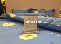 Bộ ga gối Sông Hồng Cotton C19C75#2