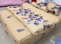 Bộ ga gối Sông Hồng Cotton C19C76#5