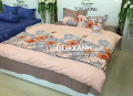 Bộ ga gối Sông Hồng Cotton C19C78#6
