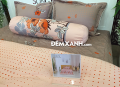 Bộ ga gối Sông Hồng Cotton C19C78#1