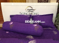 Bộ ga gối Sông Hồng Cotton C19C79#2